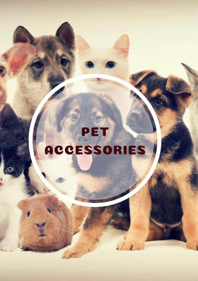 Pet Accessories