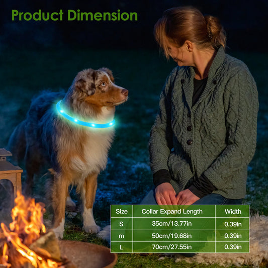 LED Dog Collar – USB Rechargeable, Adjustable Glow Collar for Night Walks