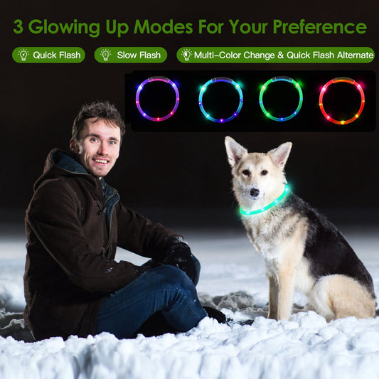 LED Dog Collar – USB Rechargeable, Adjustable Glow Collar for Night Walks