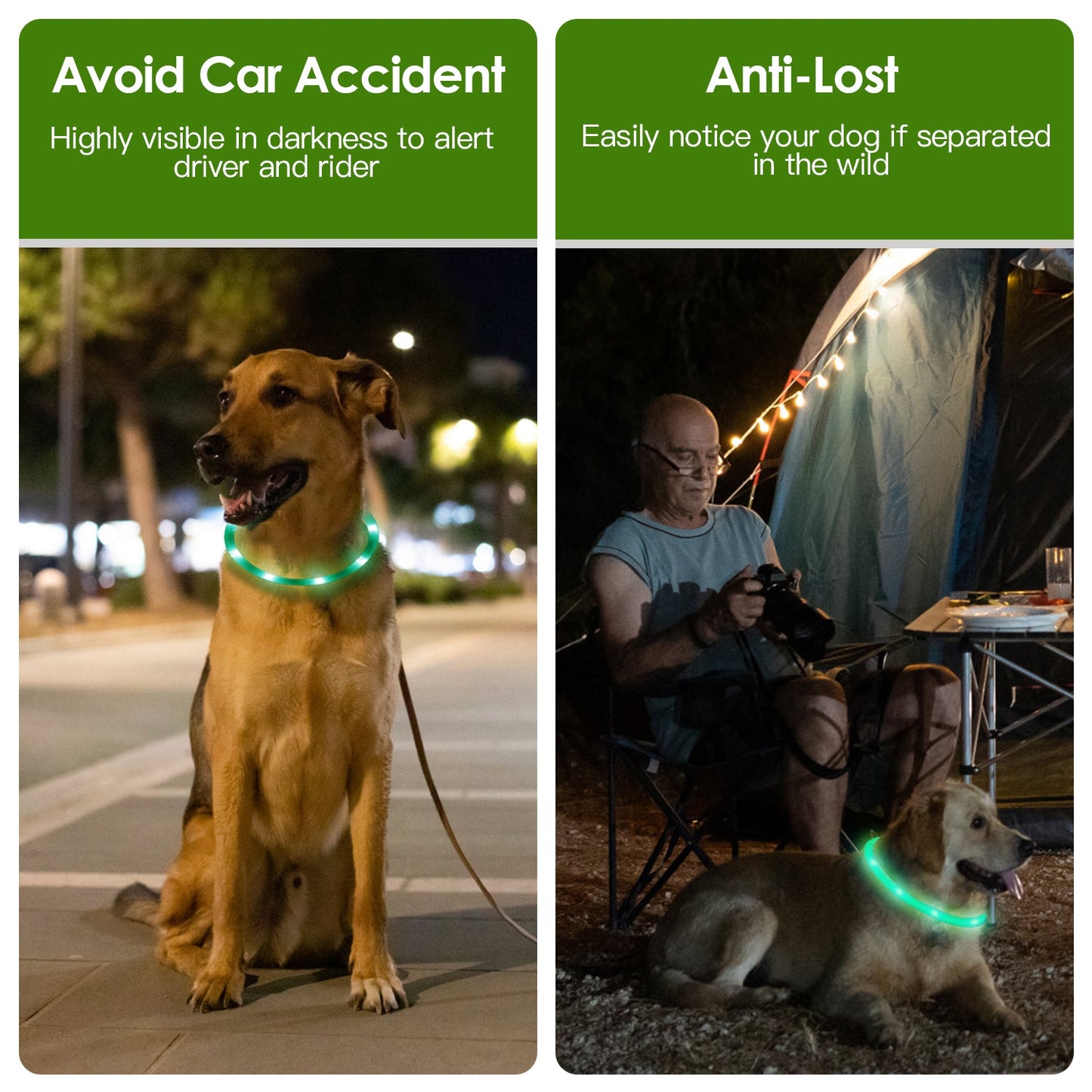 LED Dog Collar – USB Rechargeable, Adjustable Glow Collar for Night Walks